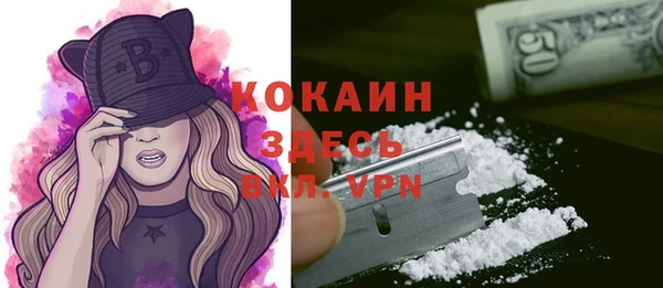 стаф Сафоново