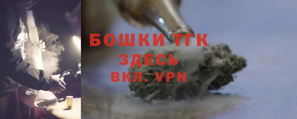 стаф Сатка