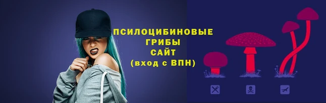 стаф Сатка