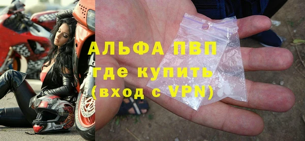 стаф Сатка