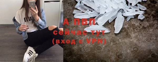 стаф Сатка
