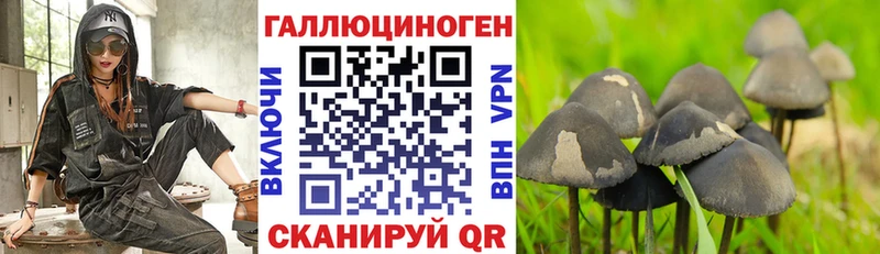 Псилоцибиновые грибы Magic Shrooms  Тобольск 