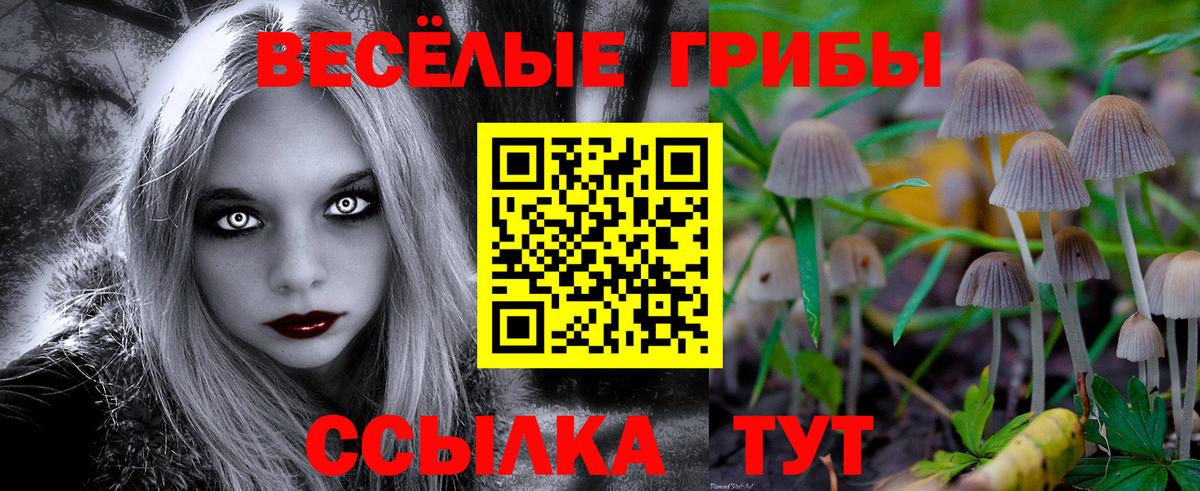 Галлюциногенные грибы ЛСД Тобольск
